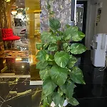 Hotel Golden Lux Antalya